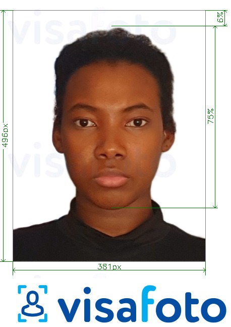 Shembulli i fotos per Angola visa online 381x496 piksele me specifikimet ekzakte