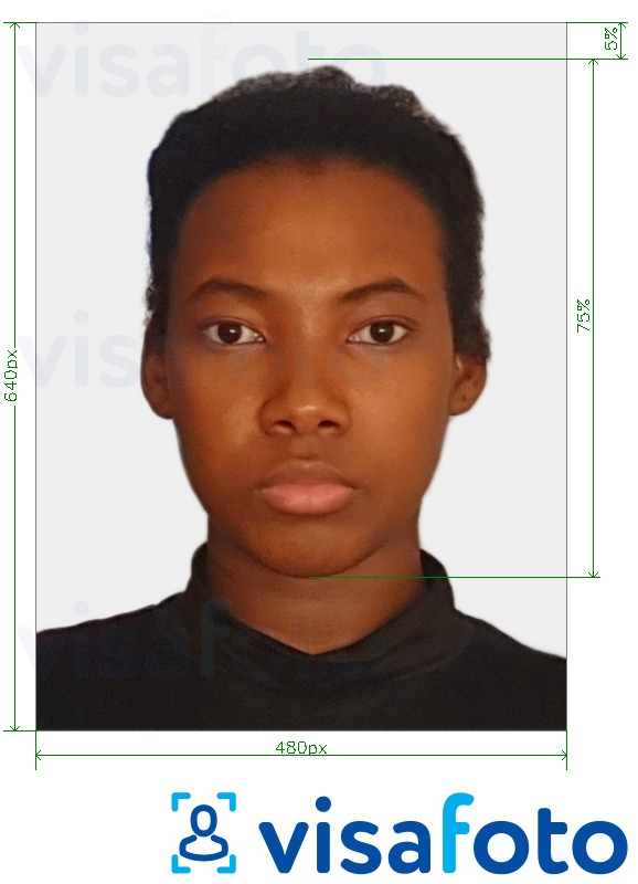 Shembulli i fotos per Pasaporta e Bahamas 480x640 piksel me specifikimet ekzakte