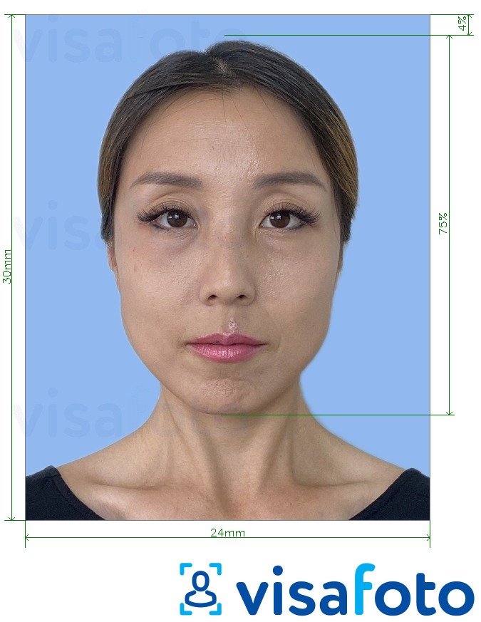 Shembulli i fotos per Japoni Patent shoferi 2.4x3 cm sfond blu e çelur me specifikimet ekzakte