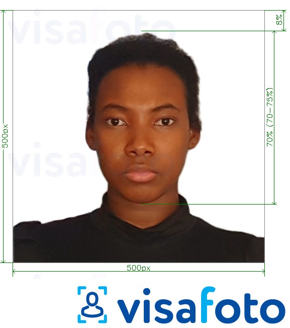 Shembulli i fotos per Kenia e-vizë online 500x500 piksele me specifikimet ekzakte