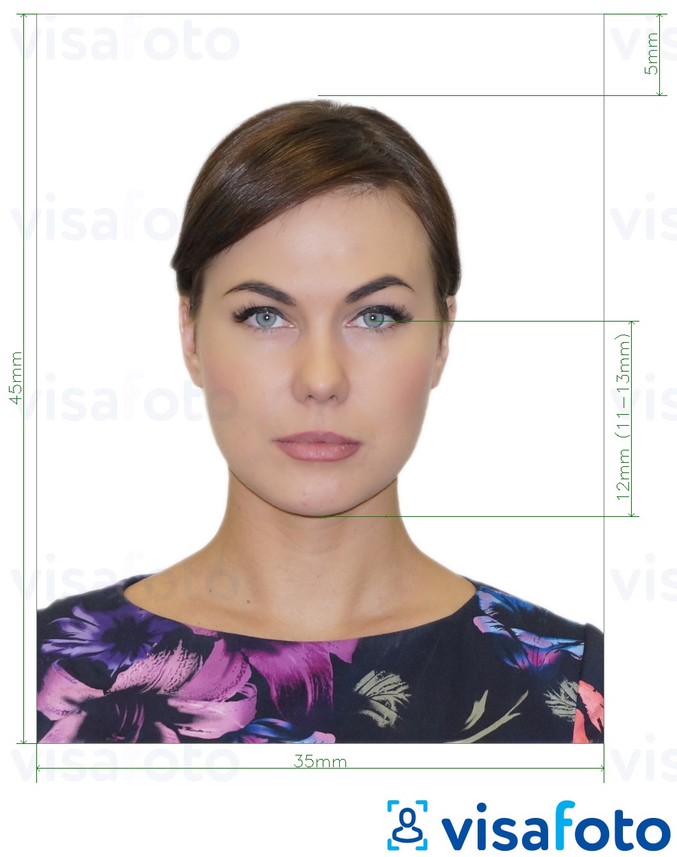 Shembulli i fotos per Pasaporta e Rusisë (sytë në fund të mjekrës 12 mm), 35x45 mm me specifikimet ekzakte